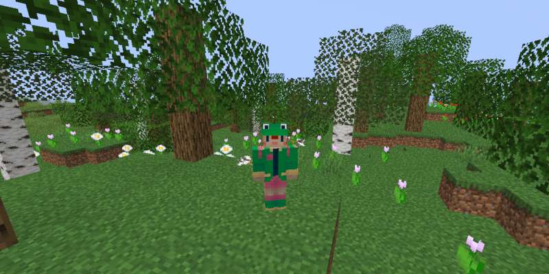 picture of the player in minecraft