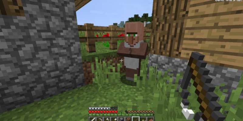picture of a villager in minecraft